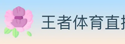 王者体育直播 logo